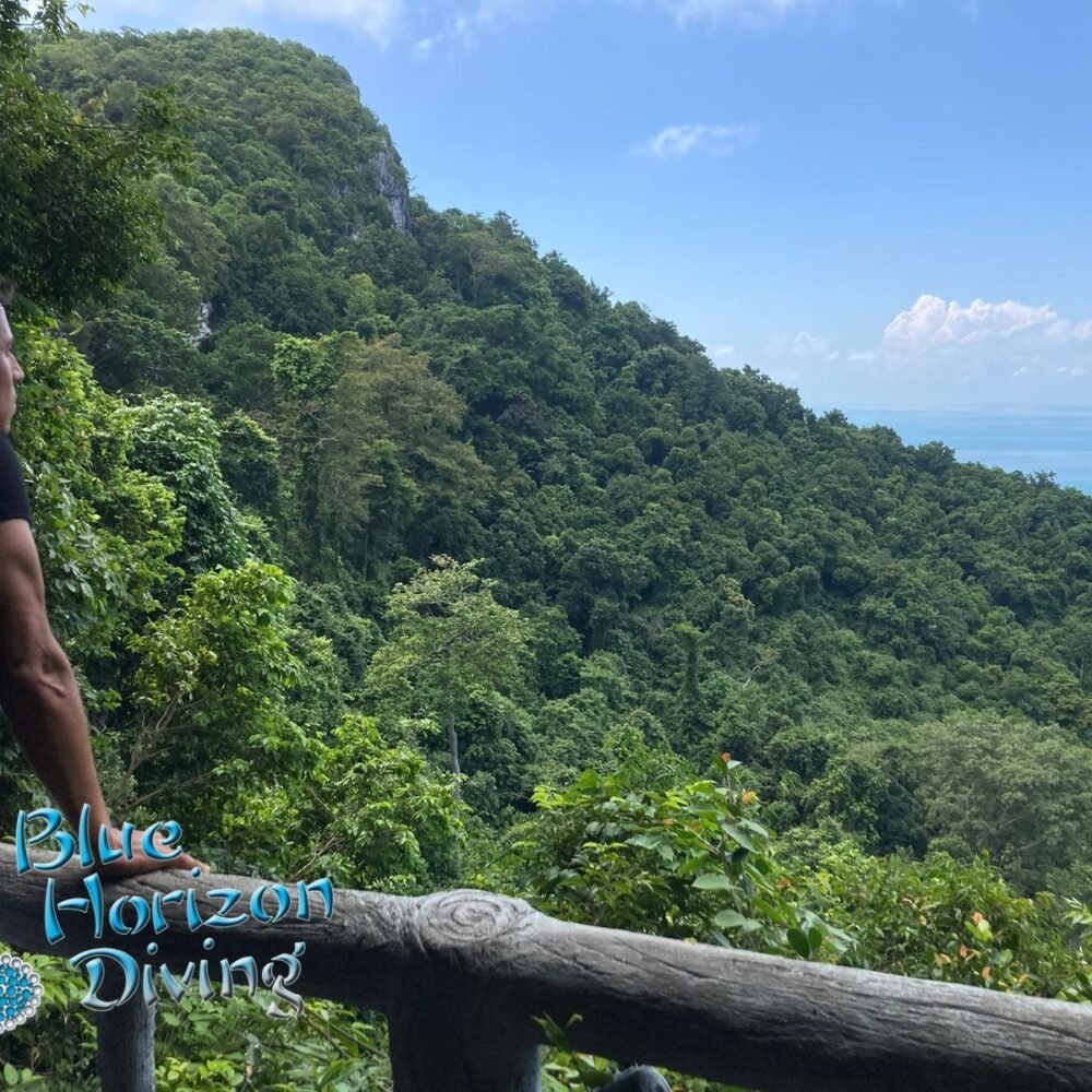 Private Tour At Anthong National Park Scuba Diving Thailand Koh