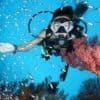 diving & snorkeling